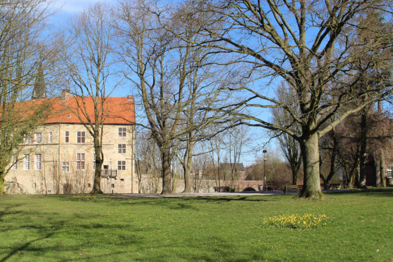 Park-1